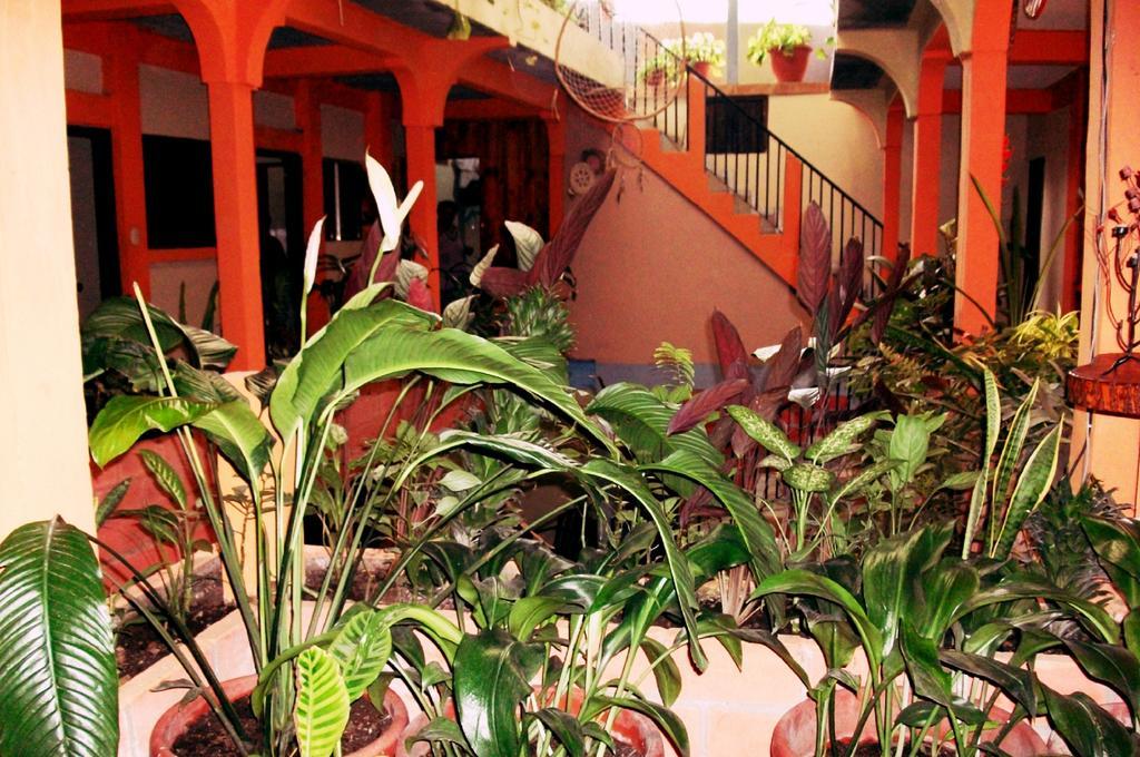 Hotel & Hostal Yaxkin Copán Zimmer foto